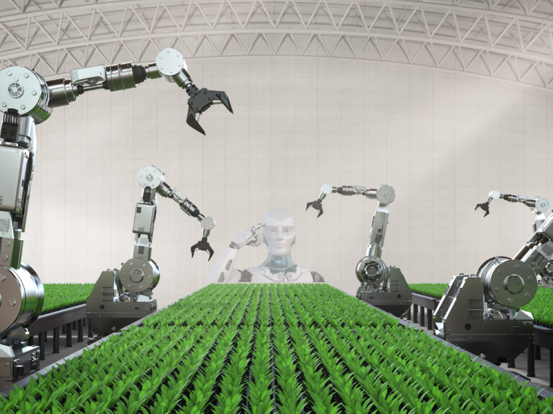 עיצוב ללא שם (13)